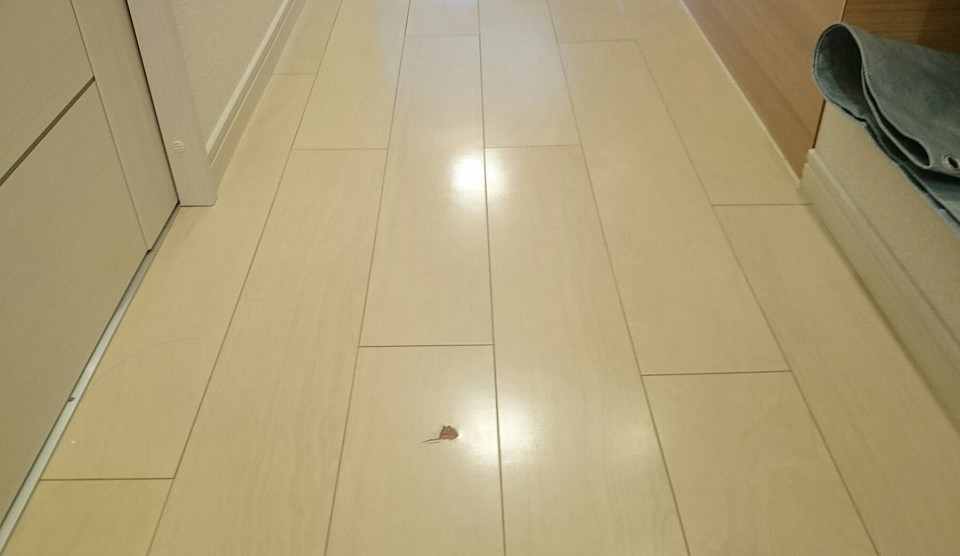 2025年11月『住まいのリペア』は横浜市港南区野庭町のフローリング傷の修復業者です。当社のフローリング補修基本料金(技術料金＋材料費)1箇所 ・1cm以内  8,000円 から ・5cm以内 18,000円から  ・10cm以内 26,000円から ・15cm以内 30,000円から・15cm以上 36,000円から、大きなキズヘコみは破損は現地確認となります。 ※ガラスコーティングなどの鏡面仕様は基本料金＋10,000円から ※挽き板、突き板のリペア対応可否は現地確認となります。1m以上の長い傷、お部屋の無数の凹み、キズ多数の場合も可能な限りリペア対応いたします。※床の大きな傷や破損、凹み多数、部屋に傷が無数にある場合も現地確認からとなります。