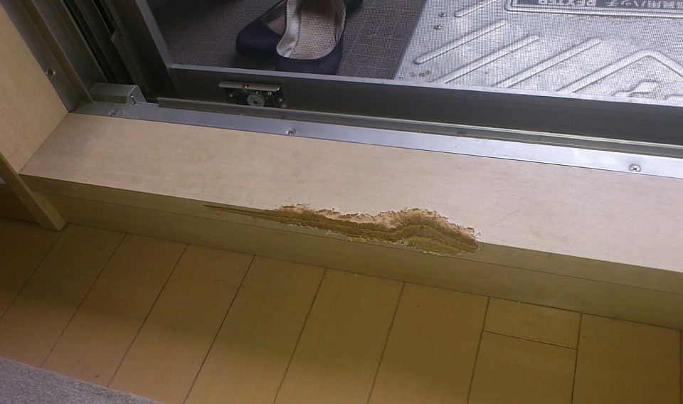 神奈川県横浜市港南区野庭町から関東エリア出張対応…『住まいのリペア』は犬のかじり傷補修を得意とする修理業者です。ペットの噛んだあとの修復おまかせください。ペットによるキズリペア多数実績がございます。ペットがつけた窓の枠のキズ跡、建具枠、柱のささくれ、おしっこによるマーキング、尿(水分)でふくらんでしまった枠やドア、噛み砕いたり、噛みちぎってビリビリに破れた壁や巾木、ぐちゃぐちゃに深くえぐれた柱、陥没した壁、あらゆるペットによる傷破損修理プロ対応いたします。条件により、群馬県、愛知県、山梨県、福島県、長野県、山形県、新潟県、遠方対応可能な場合がございます。