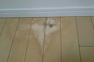 横須賀市秋谷マンション洋室/ペットの尿、おしっこによるフローリングの染み