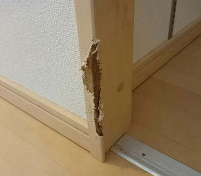 ワンちゃんにかみつかれて表面の木目調シートがバリバリ剥がれ破れた建具枠の傷…枠を交換せずに修復技術で傷を再生いたします。