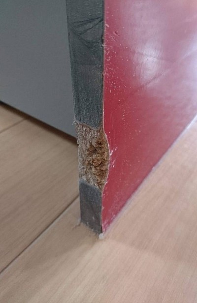 トップページでもお知らせいたしました、キッチンの側板 鏡面パネル 犬にかじられた傷です。