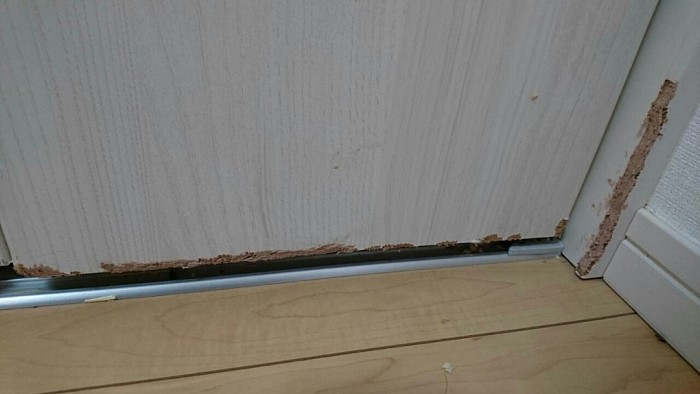ガリガリにかじられたドアの傷、木枠のキズです。