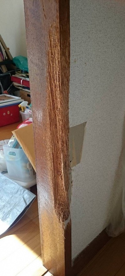 猫ちゃんのお気に入りの柱…長い間の爪研ぎで抉れて大きく変形してしまいました。解決方法は柱交換だけではございません。『住まいのリペア』がこの柱を解体せずに再生いたします。