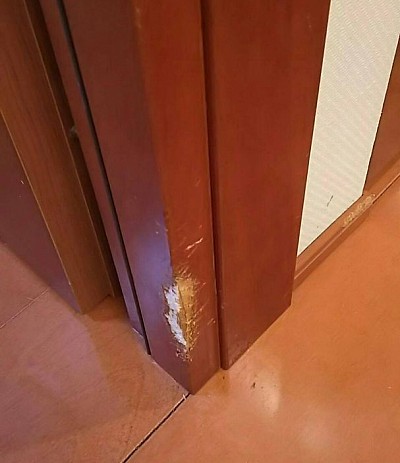 可愛い仔犬のイタズラ表現、カリカリと噛まれて削れた柱…『住まいのリペア』が静かに修復対応いたします。