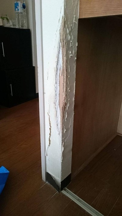 引っ掛かれた柱、壁紙も破れて下地も削れてしまいました。