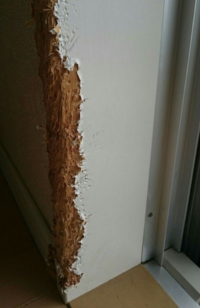 かじられた傷で悩んで眠れない方へ、心配しなくても大丈夫です！かわいいペットたちの表現、犬やうさぎ、ハムスターの柱や枠の齧った歯形跡なおします。詳しくは施工事例のページをご覧ください。