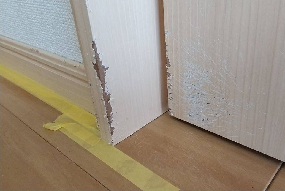 神奈川県厚木市のマンション■木枠とドアのかじられた傷、木目調シート剥がれ破れ